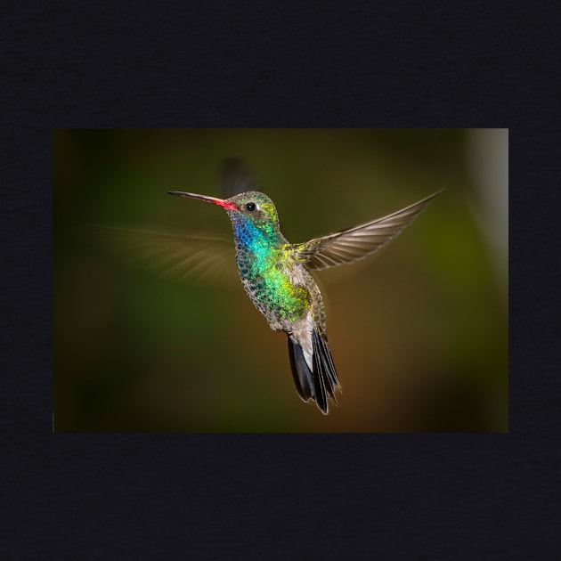 Hummingbird by kawaii_shop